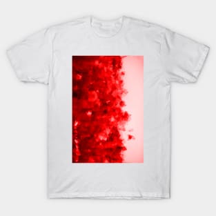 I see red 2 v T-Shirt